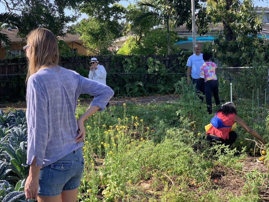 Urban Community Garden - Brownsville