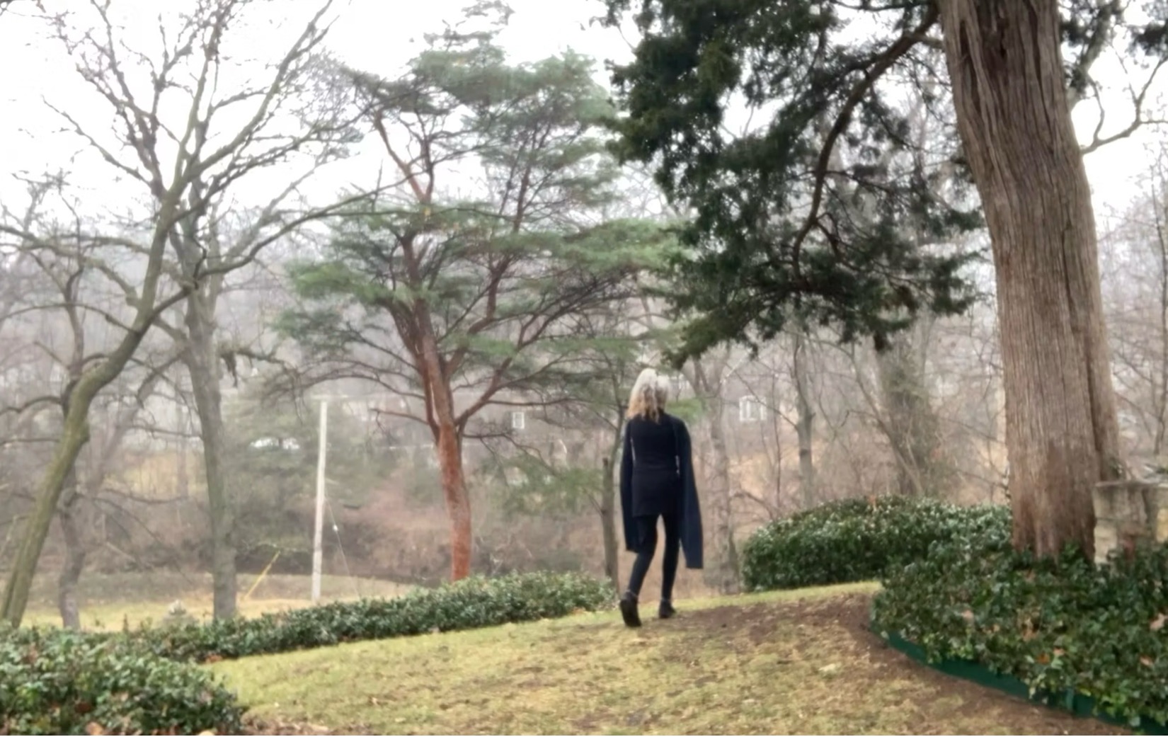 Dancer – Andrea Beeman, Virginia