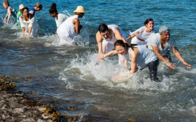 Dale Andree (NWD Projects) – Dance for the Everglades in Miami, FL